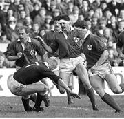 2 February 1985; Nigel Carr, left, and Willie Anderson, centre, Ireland. Five Nations Rugby Championship, Scotland v Ireland, Murrayfield, Edinburgh, Scotland. Picture credit: Ray McManus / SPORTSFILE