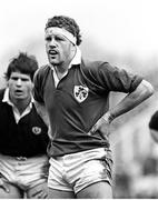 2 February 1985; Philip Matthews, Ireland. Five Nations Rugby Championship, Scotland v Ireland, Murrayfield, Edinburgh, Scotland. Picture credit: Ray McManus / SPORTSFILE