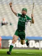 26 October 2013; Cahir Healy, Ireland, celebrates after scoring his side's first goal. Shinty International First Test, Ireland v Scotland, Croke Park, Dublin. Picture credit: Oliver McVeigh / SPORTSFILE