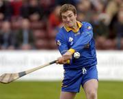 31 October 2004; Ivan Canning, Portumna goalkeeper. Galway County Senior Hurling Final, Portumna v Athenry, Pearse Stadium, Galway. Picture credit; Damien Eagers / SPORTSFILE