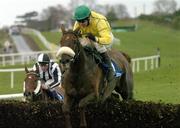 6 November 2004; Beef Or Salmon, with Timmy Murphy up, jumps the last on their way to winning the J Nicholson Wine Merchant Champion Steeplechase. Down Royal Racecourse, Co. Antrim. Picture credit; Matt Browne / SPORTSFILE