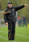 3 November 2013; Dr. Crokes joint manager Noel O'Leary. AIB Munster Senior Club Football Championship, Quarter-Final, Dr. Crokes, Kerry, v Castlehaven, Cork. Dr. Crokes GAA Club, Lewis Road, Killarney, Co. Kerry. Picture credit: Stephen McCarthy / SPORTSFILE