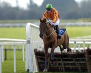 27 November 2004; Stromstad with Joey Elliott up, jumps the last on their way to winning the betfair.com Juvenile 3-Y-O Hurdle. Fairyhouse Racecourse, Co. Meath. Picture credit; Damien Eagers / SPORTSFILE
