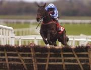 27 November 2004; Native Stag with Tom Ryan up, on their way to winning the Ladbroke Racing Handicap Hurdle. Fairyhouse Racecourse, Co. Meath. Picture credit; Damien Eagers / SPORTSFILE