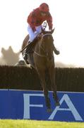 28 November 2004; Cregg House with Michael Darcy up, jumps the last on their way to winning the McGarrell/Reilly Homes Handicap Steeplechase. Fairyhouse Racecourse, Co. Meath. Picture credit; Damien Eagers / SPORTSFILE