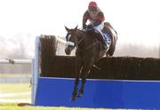 28 November 2004; Watson Lake with Paul Carberry up, jumps the last on their way to winning the Pierse Group Drinmore Novice Steeplechase. Fairyhouse Racecourse, Co. Meath. Picture credit; Damien Eagers / SPORTSFILE