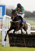 28 November 2004; Solerina with Gary Hutchinson up, jumps the last on their way to winning the Ballymore Properties Hatton's Grace Hurdle. Fairyhouse Racecourse, Co. Meath. Picture credit; Damien Eagers / SPORTSFILE