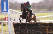 28 November 2004; Solerina with Gary Hutchinson up, jumps the last first time around during the Ballymore Properties Hatton's Grace Hurdle. Fairyhouse Racecourse, Co. Meath. Picture credit; Damien Eagers / SPORTSFILE