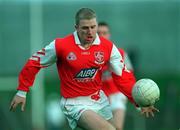 7 February 1999; Aaron Hoey of Louth during the National Football League match between Louth and Wicklow at O'Rahilly Park in Drogheda, Louth. Photo by Brendan Moran/Sportsfile