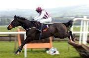 5 December 2004; Justified, with Shay Barry up, jumps the last on their way to winning the INH Stallion Owners EBF Novice Hurdle. Punchestown Racecourse, Co. Kildare. Picture credit; Matt Browne / SPORTSFILE