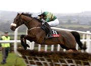 5 December 2004; Johnston's Swallow, with Ruby Walsh up, jumps the last during the Benson Burger Express Maiden Hurdle (DIV II). Punchestown Racecourse, Co. Kildare. Picture credit; Matt Browne / SPORTSFILE