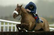 5 December 2004; Native Upmanship, with Conor O'Dwyer up, jumps the last during the John Durkan Memorial Punchestown Steeplechase. Punchestown Racecourse, Co. Kildare. Picture credit; Matt Browne / SPORTSFILE