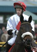 12 December 2004; Black Dot Com, with Joseph Allen up, canters to the start of the Ladbrokes Handicap Hurdle. Navan Raceourse, Navan, Co. Meath. Picture Credit; David Maher / SPORTSFILE
