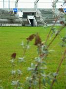 17 December 2004; A general view of the proposed home venue for Shamrock Rovers within the confines of Sean Walsh Memorial Park, Tallaght, Dublin. Picture credit; David Maher / SPORTSFILE