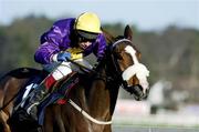 26 December 2004; Queen Astrid with Gary Hutchison up, on their way to winning the Durkan New Homes Maiden Hurdle (5-y-o plus). Leopardstown Racecourse, Dublin. Picture credit; Damien Eagers / SPORTSFILE