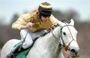 27 December 2004; Sky's The Limit with David Russell up, on their way to winning the Paddy Power Festival 3-Y-O Hurdle. Leopardstown Racecourse, Dublin. Picture credit; Pat Murphy / SPORTSFILE