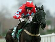 27 December 2004; Macs Flamingo, with Barry Geraghty up, on their way to winning the Paddy Power Maiden Hurdle. Leopardstown Racecourse, Dublin. Picture credit; Pat Murphy / SPORTSFILE