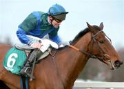 27 December 2004; Royal Paradise, with Conor O'Dwyer up, on their way to winning the paddypower.com Future Champions Novice Hurdle. Leopardstown Racecourse, Dublin. Picture credit; Pat Murphy / SPORTSFILE