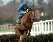 27 December 2004; Royal Paradise, with Conor O'Dwyer up, clears the last on their way to winning the paddypower.com Future Champions Novice Hurdle. Leopardstown Racecourse, Dublin. Picture credit; Pat Murphy / SPORTSFILE