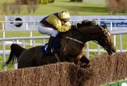 29 December 2004; Strong Project, with Paul Carberry up, jumps the last on their way to winning the Coyle Hamilton Willis Beginners Steeplechase. Leopardstown Racecourse, Dublin. Picture credit; Matt Browne / SPORTSFILE