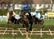 29 December 2004; Macs Joy, with Barry Geraghty up, jumps the last on their way to winning the Bewleys Hotels December Festival Hurdle, from second place Brave Inca, left, with Barry Cash, fourth place Solerina with Gary Hutchinson and third place Hardy Eustace with Conor O'Dwyer, right. Leopardstown Racecourse, Dublin. Picture credit; Matt Browne / SPORTSFILE