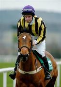 27 December 2004; Annabel Kate with Thomas Gibney up, canters to the start for the Paddy Power Festival 3-Y-O Hurdle. Leopardstown Racecourse, Dublin. Picture credit; Pat Murphy / SPORTSFILE