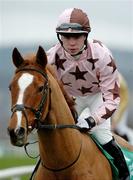 27 December 2004; Indian Pace with Denis O'Regan up, canters to the start for the Paddy Power Festival 3-Y-O Hurdle. Leopardstown Racecourse, Dublin. Picture credit; Pat Murphy / SPORTSFILE