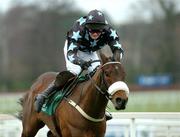 27 December 2004; Maxxium with Adrian Lane up, in action during the Paddy Power Festival 3-Y-O Hurdle. Leopardstown Racecourse, Dublin. Picture credit; Pat Murphy / SPORTSFILE