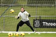 16 November 2013; Republic of Ireland's David Forde during squad training ahead of their friendly international match against Poland on Tuesday. Republic of Ireland Squad Training, Gannon Park, Malahide, Co. Dublin. Photo by Sportsfile