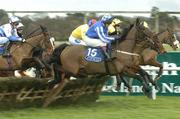 9 January 2005; Native Stag, with Gareth Cotter up, clear the last, first time round, during the Pierse Hurdle. Leopardstown Racecourse, Dublin. Picture credit; Brendan Moran / SPORTSFILE