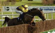 29 December 2004; Strong Project, with Paul Carberry up, jumps the last during the Coyle Hamilton Willis Beginners Steeplechase. Leopardstown Racecourse, Dublin. Picture credit; Matt Browne / SPORTSFILE