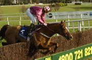 29 December 2004; In To The Sun, with David Russell up, jumps the last during the Coyle Hamilton Willis Beginners Steeplechase. Leopardstown Racecourse, Dublin. Picture credit; Matt Browne / SPORTSFILE