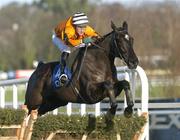 28 December 2004; Anyportinastorm, with Robert Power up, pictured during the O2 Hurdle. Leopardstown Racecourse, Dublin. Picture credit; Matt Browne / SPORTSFILE