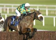 28 December 2004; Make The Man, with Paul Carberry up, jumps the first during the Ascon / Rohcon Novice Steeplechase. Leopardstown Racecourse, Dublin. Picture credit; Matt Browne / SPORTSFILE