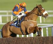 28 December 2004; Leading The Way, with Garreth Cotter up, pictured during the Ascon / Rohcon Novice Steeplechase. Leopardstown Racecourse, Dublin. Picture credit; Matt Browne / SPORTSFILE