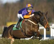 28 December 2004; Satco Express, with Alan Crowe up, jumps the last during the woodiesdiy.com Christmas Hurdle. Leopardstown Racecourse, Dublin. Picture credit; Matt Browne / SPORTSFILE