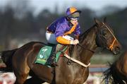 28 December 2004; Satco Express, with Alan Crowe up, pictured during the woodiesdiy.com Christmas Hurdle. Leopardstown Racecourse, Dublin. Picture credit; Matt Browne / SPORTSFILE