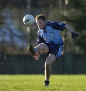 8 January 2005; Brendan Phelan, Dublin. O'Byrne Cup, Quarter-Final, Louth v Dublin, O'Rahilly Park, Drogheda, Co. Louth. Picture credit; Ray McManus / SPORTSFILE