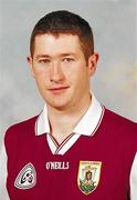 1 December 2001; Liam Hodgins, Galway, Centre Half-back on the 2001 Allstar Hurling team. Picture credit; Ray McManus / SPORTSFILE