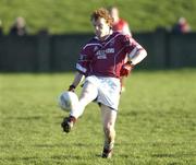 16 January 2005; Alan Lambden, Westmeath. O'Byrne Cup, Semi-Final, Louth v Westmeath, Gaelic Grounds, Drogheda, Co. Louth. Picture credit; Damien Eagers / SPORTFILE