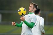 17 November 2013; Republic of Ireland's Kevin Doyle during squad training ahead of their friendly international match against Poland on Tuesday. Republic of Ireland Squad Training, Gannon Park, Malahide, Co. Dublin. Picture credit: David Maher / SPORTSFILE