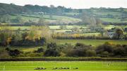 17 November 2013; A general view of the runners and riders during the I.N.H. Stallion Owners European Breeders Fund Maiden Hurdle. Punchestown Racecourse, Punchestown, Co. Kildare. Picture credit: Barry Cregg / SPORTSFILE