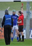 17 November 2013; Ballyboden St Enda's goalkeeper Gary Maguire is shown a red card by referee James Owens. AIB Leinster Senior Club Hurling Championship, Semi-Final, Mount Leinster Rangers, Carlow v Ballyboden St Enda's, Dublin. Dr. Cullen Park, Carlow. Picture credit: Pat Murphy / SPORTSFILE