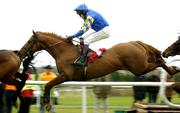 20 January 2005; Dalton, with Barry Geraghty up, on the way to winning the Dinn Ri Maiden Hurdle. Gowran Park, Co. Kilkenny. Picture credit; Matt Browne / SPORTSFILE