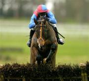 20 January 2005; Emotional Moment, with Barry Geraghty up, jumps the last on their way to winning the Alo Duffin Memorial Galmoy Hurdle. Gowran Park, Co. Kilkenny. Picture credit; Matt Browne / SPORTSFILE