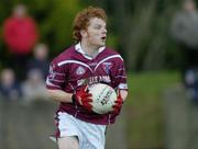 16 January 2005; Alan Lambden, Westmeath. O'Byrne Cup, Semi-Final, Louth v Westmeath, O'Rahilly Park, Drogheda, Co. Louth. Picture credit; Damien Eagers / SPORTSFILE