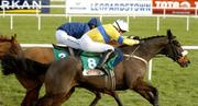 23 January 2005; Ulaan Baatar (8), with Timmy Murphy up, races clear of eventual 3rd Ned Kelly, with David Russell, on the way to winning the Baileys Arkle Perpetual Challenge Cup Novice Steeplechase. Leopardstown Racecourse, Dublin. Picture credit; Matt Browne / SPORTSFILE