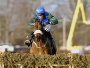 23 January 2005; Macs Joy, with Barry Geraghty up, approaches the last on their way to winning the AIG Europe Champion Hurdle. Leopardstown Racecourse, Dublin. Picture credit; Matt Browne / SPORTSFILE