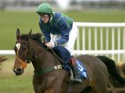 27 January 2005; Cape Teal, with Andrew McNamara up, pictured after jumping the last during the INH Stallion Farms EBF Novice Hurdle. Thurles Racecourse, Co. Tipperary. Picture credit; Matt Browne / SPORTSFILE