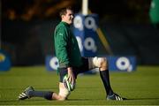 19 November 2013; Ireland's Devin Toner in action during squad training ahead of their Guinness Series International match against New Zealand on Sunday. Ireland Rugby Squad Training, Carton House, Maynooth, Co. Kildare. Picture credit: Brendan Moran / SPORTSFILE
